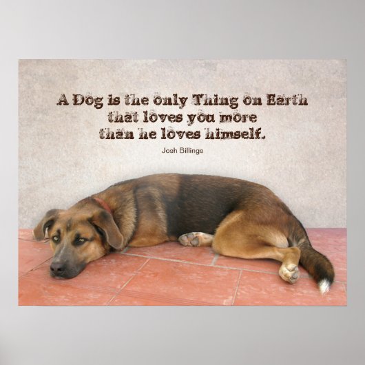 Dog Zitat Poster (Vorne)