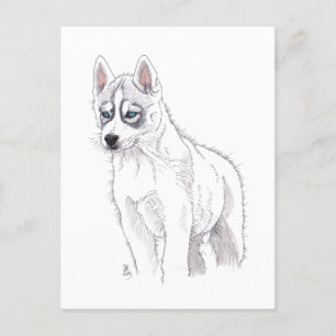DogAugust 2019 Sibirische Husky-Welpenpostkarte Ankündigungspostkarte