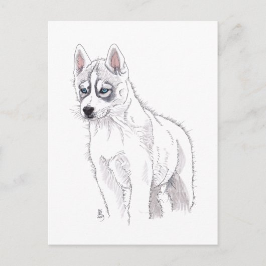 DogAugust 2019 Sibirische Husky-Welpenpostkarte Ankündigungspostkarte (Vorderseite)