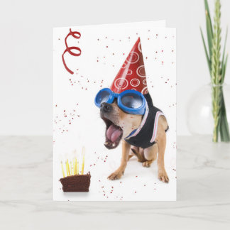 dogcake karte