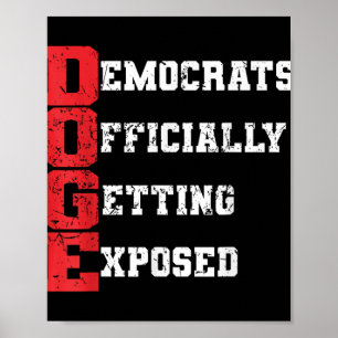 Doge-Demokraten werden offiziell verfügbar _2 Poster