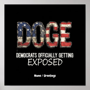 DOGE macht Demokraten offiziell verfügbar Poster