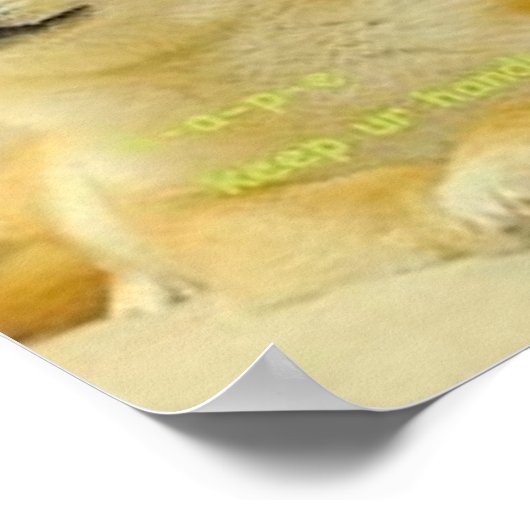 Doge Meme Poster (Ecke)