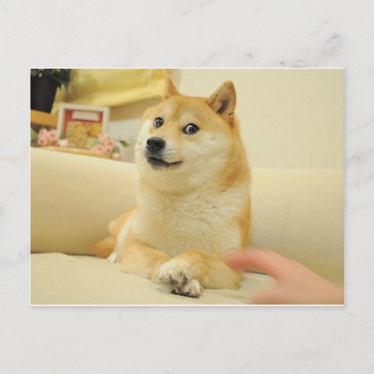 Doge Postkarte (Vorderseite)