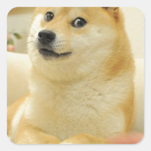 Doge Quadratischer Aufkleber