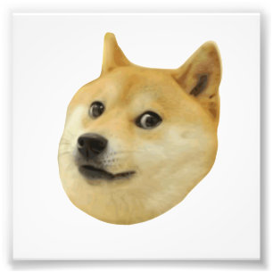 Doge sehr wow viel Hund solches Shiba Shibe Inu Fotodruck