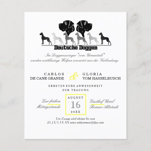 Dogen Geburtstag Flyer (Hinten)