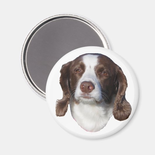 Dogenmagnet Magnet (Vorderseite/Rückseite)