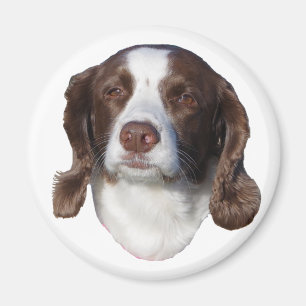 Dogenmagnet Magnet