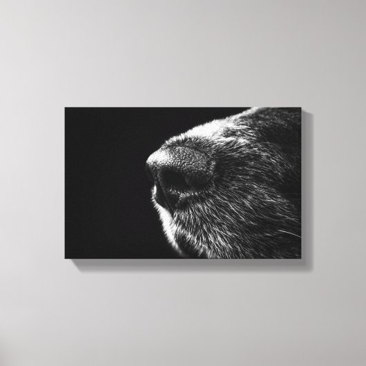 Dogennose ummantelte Canvas Leinwanddruck (Vorderseite)