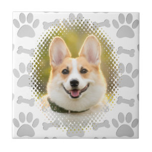 Dogenrahmen für Knochen und Paw Fliese