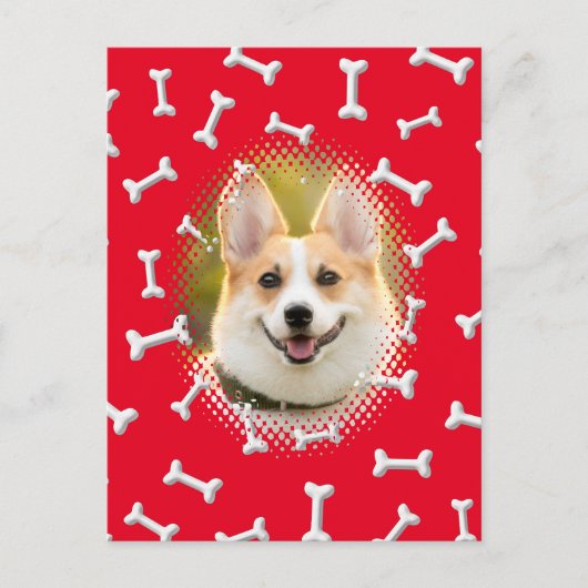 Dogenrahmen für Knochenmuster drucken Postkarte (Vorderseite)