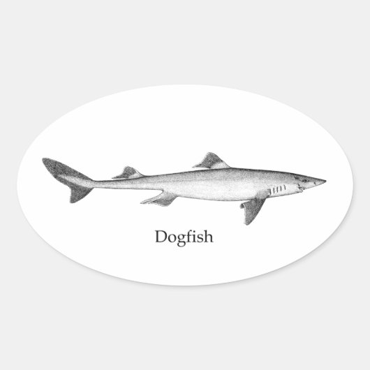Dogfish (line art) ovaler aufkleber (Vorderseite)
