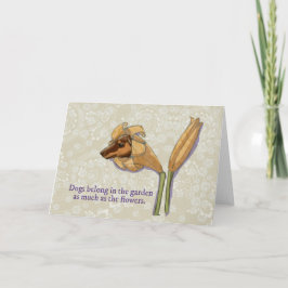 Dogflower greeting card karte