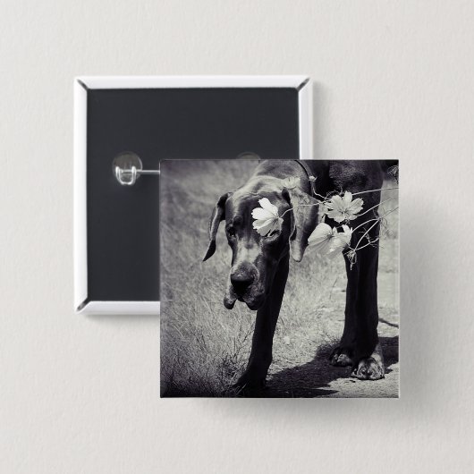 Dogge Balu Button (Vorne & Hinten)