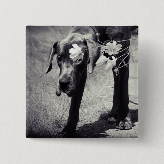 Dogge Balu Button (Vorderseite)