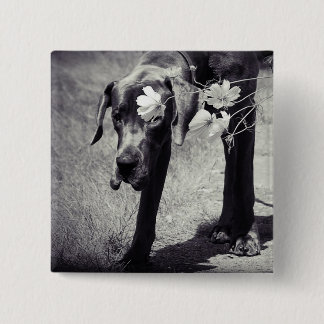 Dogge Balu Button