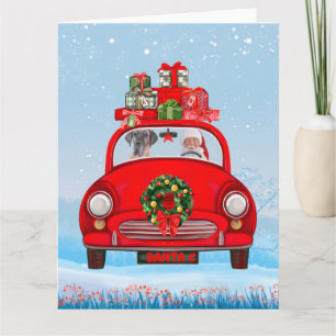 Dogge der Großen Dänischen Hunderasse im Auto mit  Karte