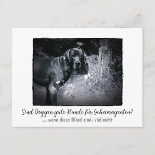 Dogge: der Hund für Geheimagenten Postkarte