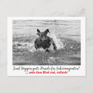 Dogge: der Hund für Geheimagenten  Postkarte