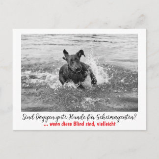 Dogge: der Hund für Geheimagenten Postkarte
