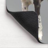 Dogge-Harlekin Mousepad (Ecke)