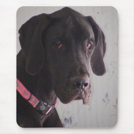 Dogge-Rettung Mousepad (Vorne)