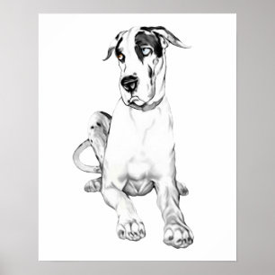 Dogge-schmollender Harlekin Poster
