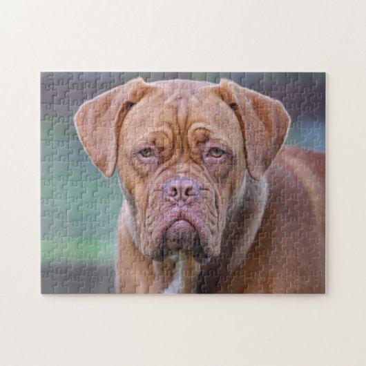 Dogge von Bordeaux Dog Puzzle (Horizontal)