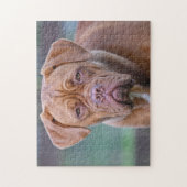 Dogge von Bordeaux Dog Puzzle (Vertikal)