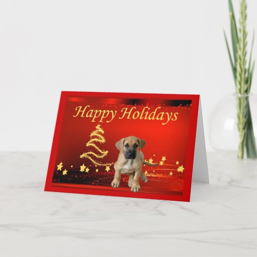 Dogge-Weihnachtskarten-Sterne Feiertagskarte (Vorderseite)