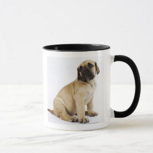 Dogge-Welpe, der im Studio sitzt Tasse