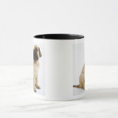 Dogge-Welpe, der im Studio sitzt Tasse (Zentrum)