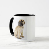 Dogge-Welpe, der im Studio sitzt Tasse (Vorderseite Links)