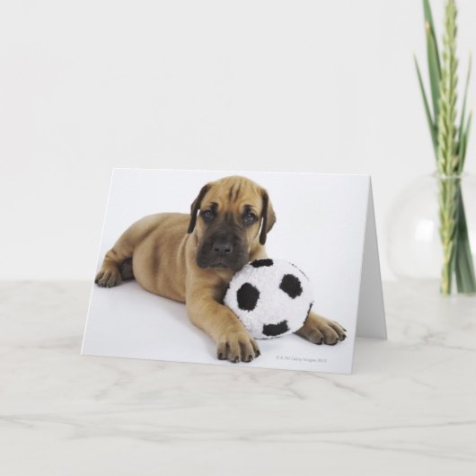 Dogge-Welpe mit Fußball Karte (Vorderseite)