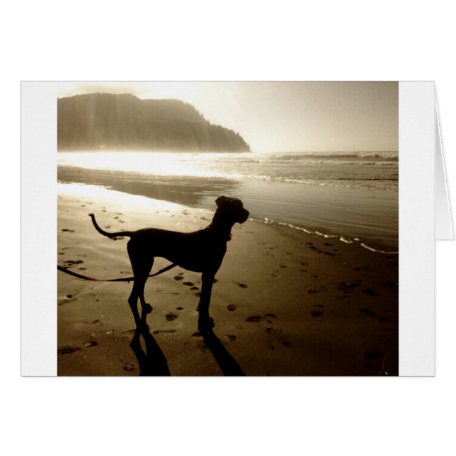 Dogge-Welpen-Sonnenuntergang (Vorderseite (Horizontal))