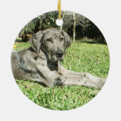 Dogge-Welpen-Verzierungen Keramikornament (Hinten)