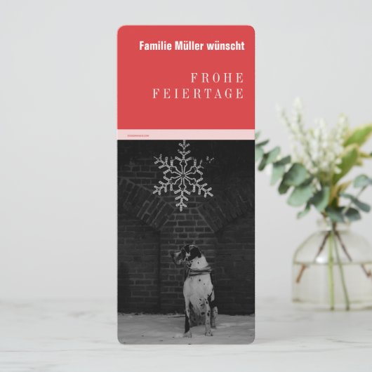 Doggen Ankündig (Stehend Vorderseite)