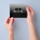 Doggen-Flyer Flyer (Gruppe)