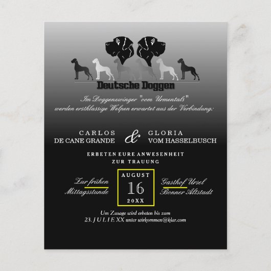 Doggen-Flyer Flyer (Hinten)