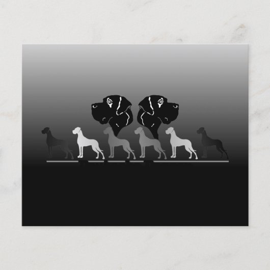 Doggen-Flyer Flyer (Vorne)