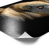 Doggenauge Fotodruck (Ecke)