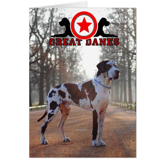 Doggenhaus Dog illustrations Karte