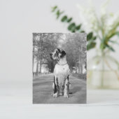 Doggenhaus Postkarte (Stehend Vorderseite)