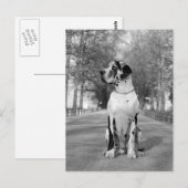 Doggenhaus Postkarte (Vorne/Hinten)