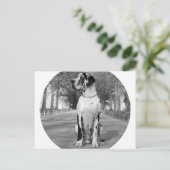 Doggenhaus Postkarte (Stehend Vorderseite)