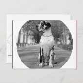 Doggenhaus Postkarte (Vorne/Hinten)