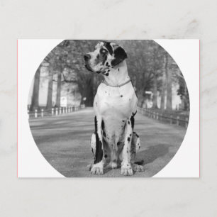 Doggenhaus Postkarte