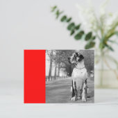 Doggenhaus Postkarte (Stehend Vorderseite)