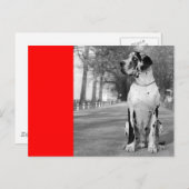 Doggenhaus Postkarte (Vorne/Hinten)